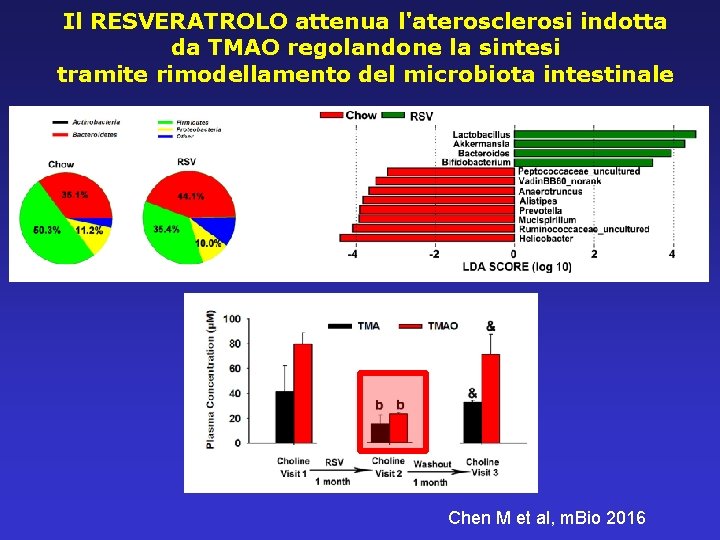 Il RESVERATROLO attenua l'aterosclerosi indotta da TMAO regolandone la sintesi tramite rimodellamento del microbiota