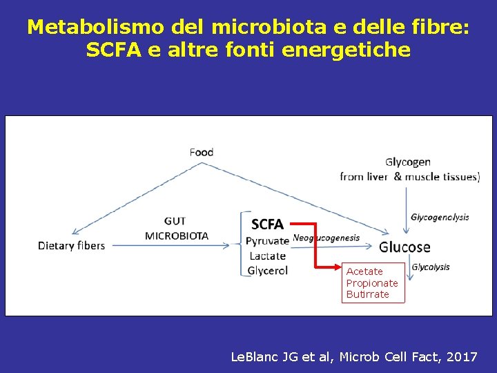 Metabolismo del microbiota e delle fibre: SCFA e altre fonti energetiche Acetate Propionate Butirrate