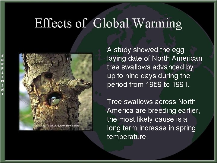 Effects of Global Warming A study showed the egg laying date of North American