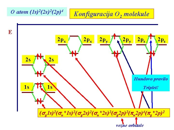 O atom (1 s)2(2 p)4 Konfiguracija O 2 molekule E 2 px 2 s