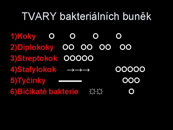 TVARY bakteriálních buněk 1)Koky O O 2)Diplokoky OO OO 3)Streptokok OOOOO 4)Stafylokok →→→ OOOOO