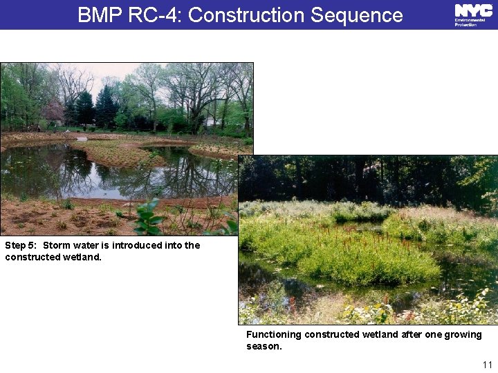 BMP RC-4: Construction Sequence Step 5: Storm water is introduced into the constructed wetland.