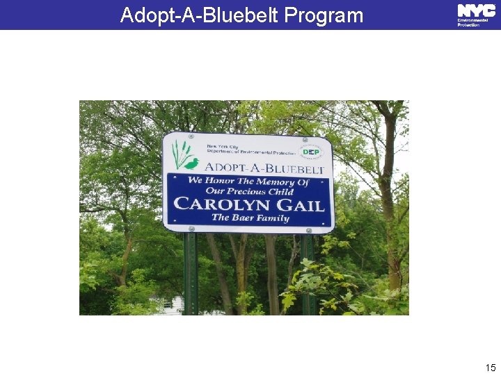 Adopt-A-Bluebelt Program 15 