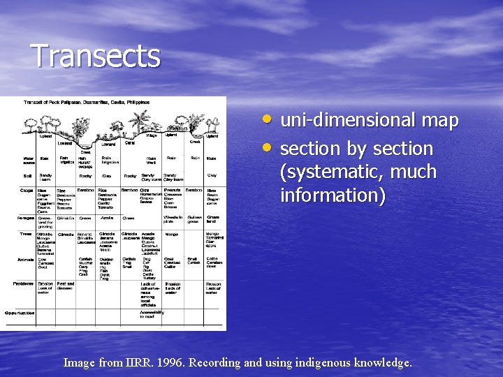 Transects • uni-dimensional map • section by section (systematic, much information) Image from IIRR.