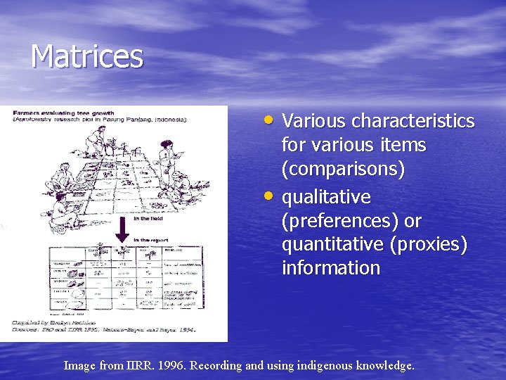 Matrices • Various characteristics • for various items (comparisons) qualitative (preferences) or quantitative (proxies)