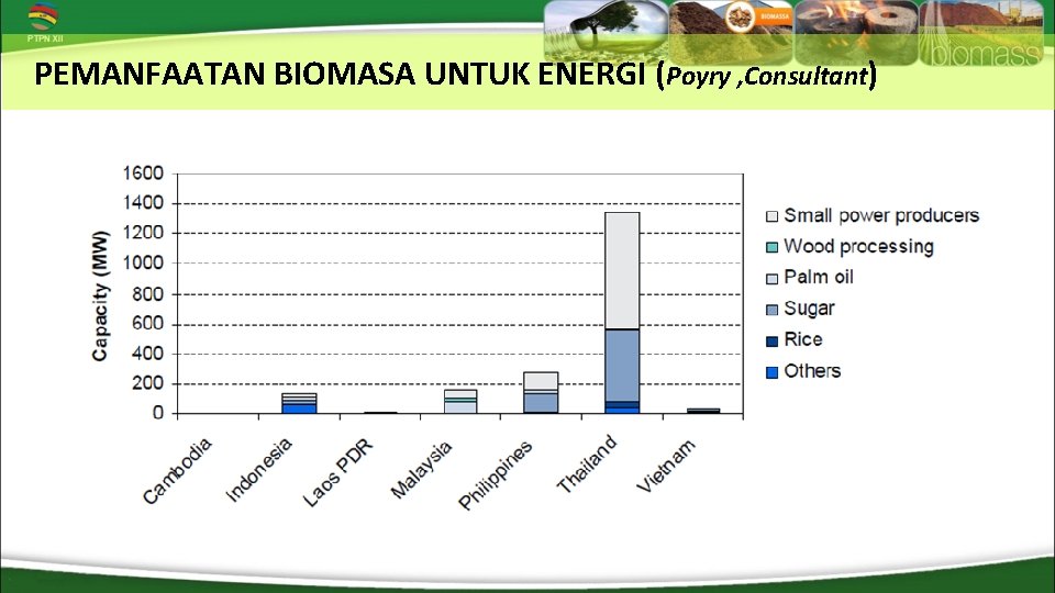 PEMANFAATAN BIOMASA UNTUK ENERGI (Poyry , Consultant) 