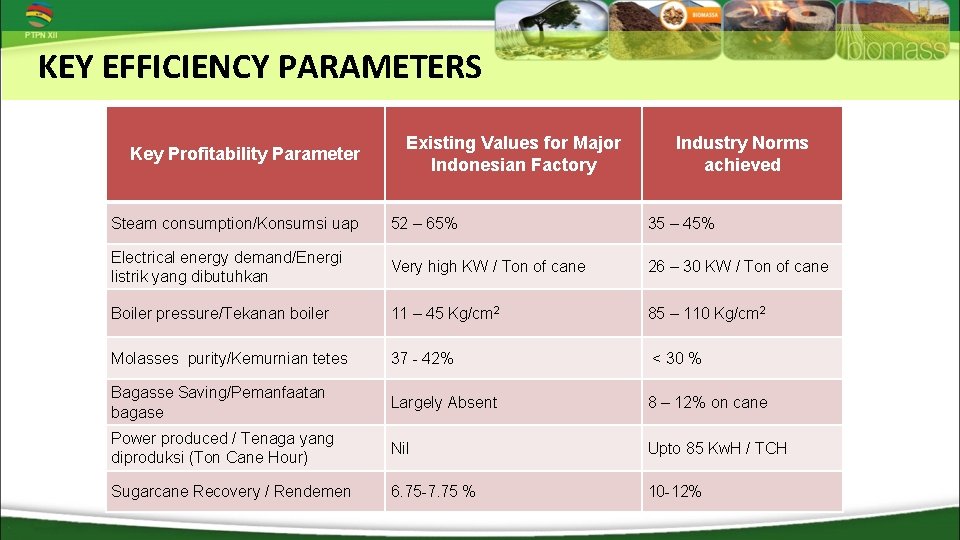 KEY EFFICIENCY PARAMETERS Key Profitability Parameter Existing Values for Major Indonesian Factory Industry Norms