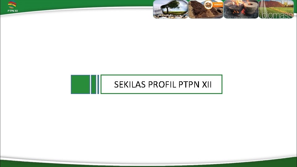 SEKILAS PROFIL PTPN XII 