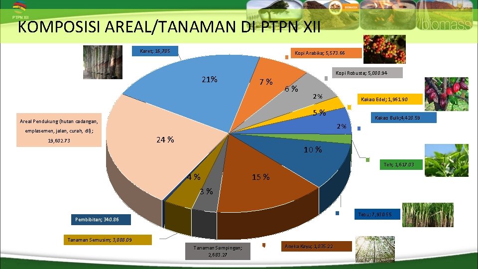 KOMPOSISI AREAL/TANAMAN DI PTPN XII 16, 785 Karet; 16, 785. 00 Kopi Arabika; 5,