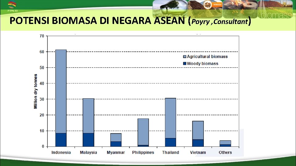 POTENSI BIOMASA DI NEGARA ASEAN (Poyry , Consultant) 