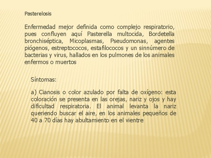 Pasterelosis Enfermedad mejor definida como complejo respiratorio, pues confluyen aquí Pasterella multocida, Bordetella bronchiséptica,