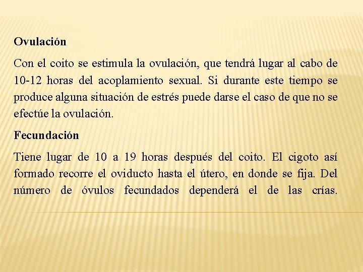 Ovulación Con el coito se estimula la ovulación, que tendrá lugar al cabo de