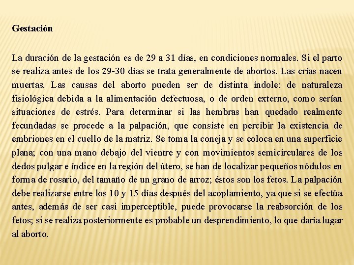 Gestación La duración de la gestación es de 29 a 31 días, en condiciones