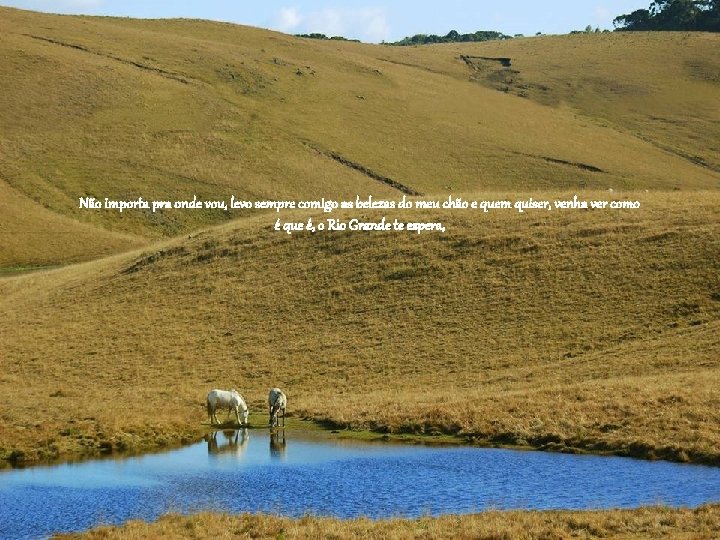 Não importa pra onde vou, levo sempre comigo as belezas do meu chão e