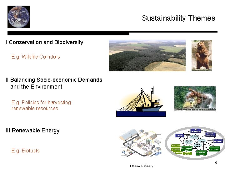 Sustainability Themes I Conservation and Biodiversity E. g. Wildlife Corridors II Balancing Socio-economic Demands