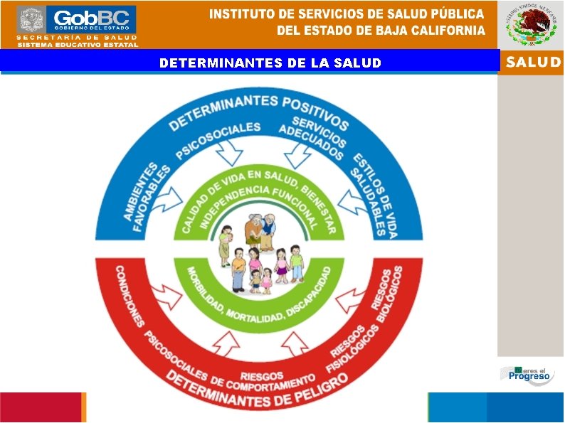 DETERMINANTES DE LA SALUD 