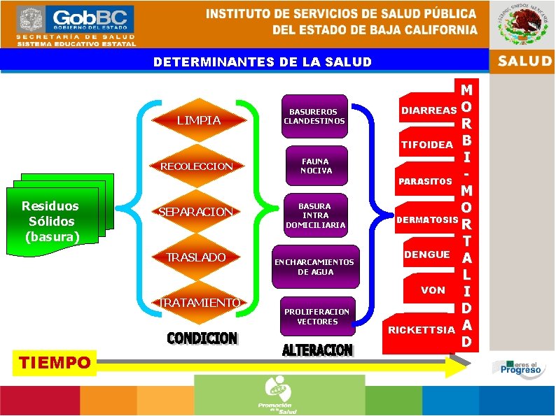 DETERMINANTES DE LA SALUD LIMPIA Residuos Sólidos (basura) RECOLECCION FAUNA NOCIVA SEPARACION BASURA INTRA