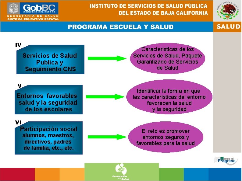 IV Servicios de Salud Publica y Seguimiento CNS V Entornos favorables salud y la