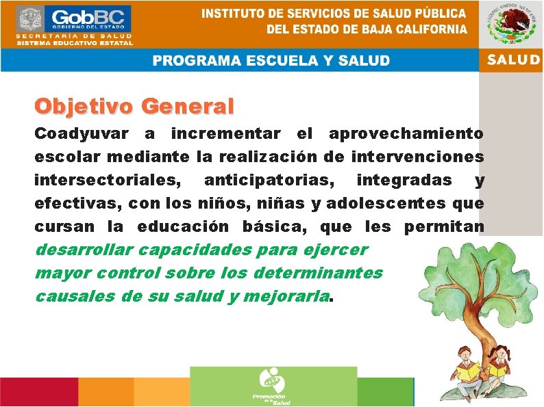 Objetivo General Coadyuvar a incrementar el aprovechamiento escolar mediante la realización de intervenciones intersectoriales,