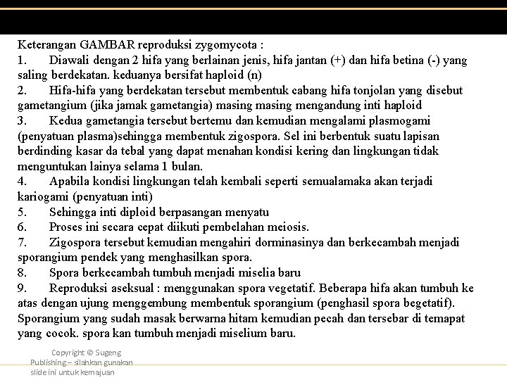 Keterangan GAMBAR reproduksi zygomycota : 1. Diawali dengan 2 hifa yang berlainan jenis, hifa