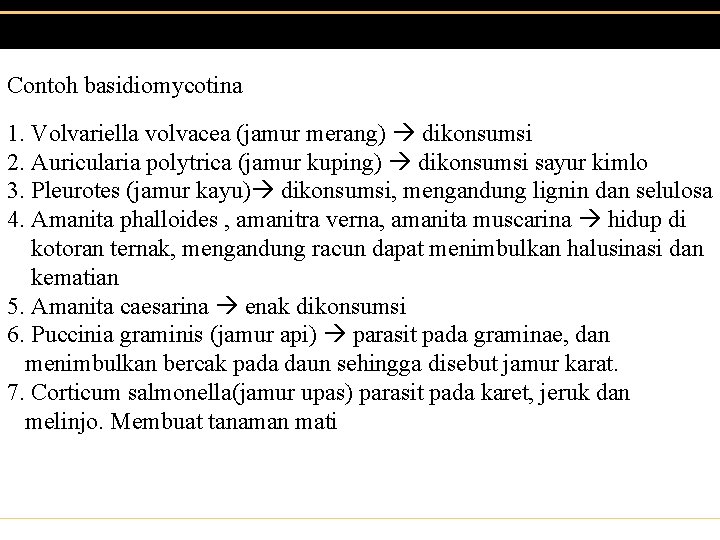 Contoh basidiomycotina 1. Volvariella volvacea (jamur merang) dikonsumsi 2. Auricularia polytrica (jamur kuping) dikonsumsi