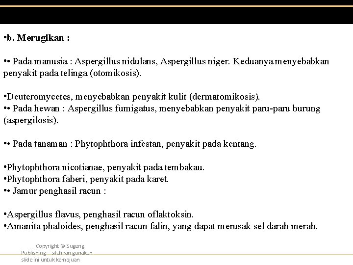  • b. Merugikan : • • Pada manusia : Aspergillus nidulans, Aspergillus niger.