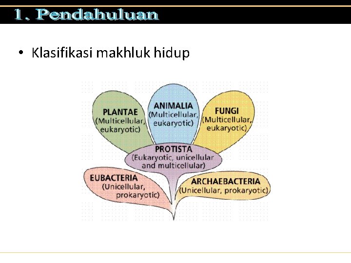  • Klasifikasi makhluk hidup 