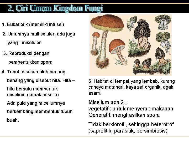 1. Eukariotik (memiliki inti sel) 2. Umumnya multiseluler, ada juga yang uniseluler. 3. Reproduksi