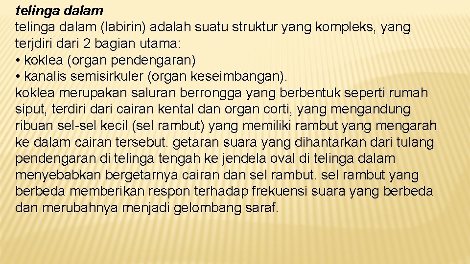 telinga dalam (labirin) adalah suatu struktur yang kompleks, yang terjdiri dari 2 bagian utama: