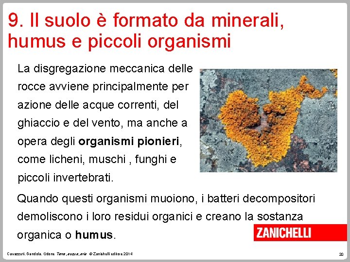 9. Il suolo è formato da minerali, humus e piccoli organismi La disgregazione meccanica