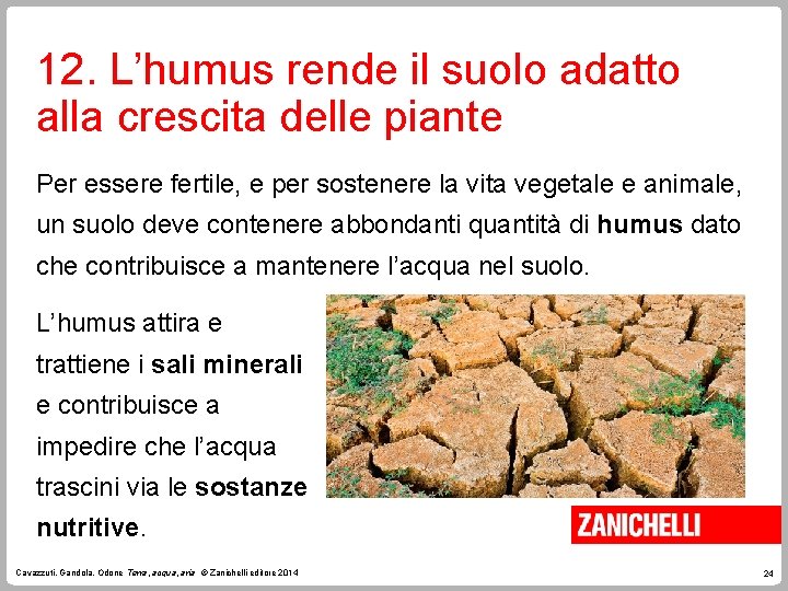 12. L’humus rende il suolo adatto alla crescita delle piante Per essere fertile, e