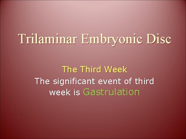 Trilaminar Embryonic Disc The Third Week The significant event of third week is Gastrulation