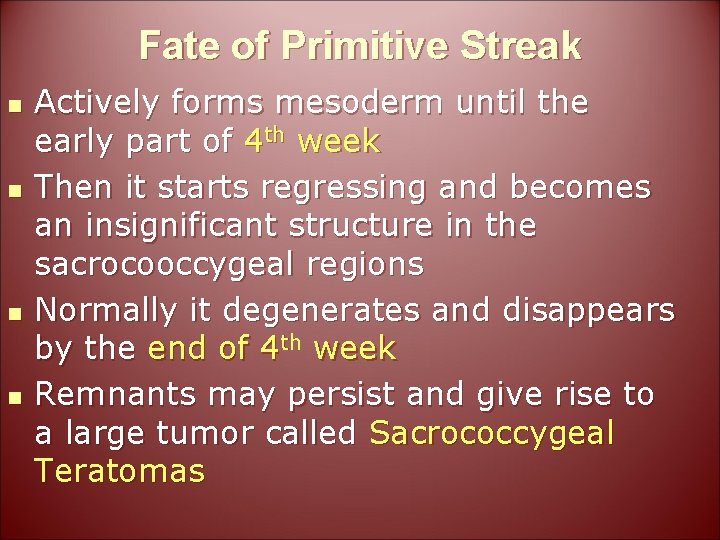 Fate of Primitive Streak n n Actively forms mesoderm until the early part of
