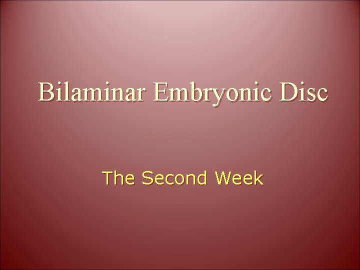 Bilaminar Embryonic Disc The Second Week 