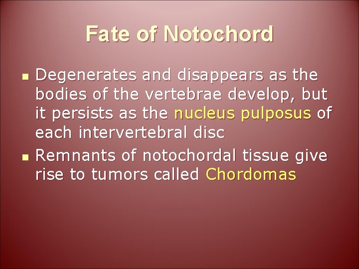 Fate of Notochord n n Degenerates and disappears as the bodies of the vertebrae