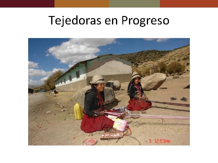 Tejedoras en Progreso 