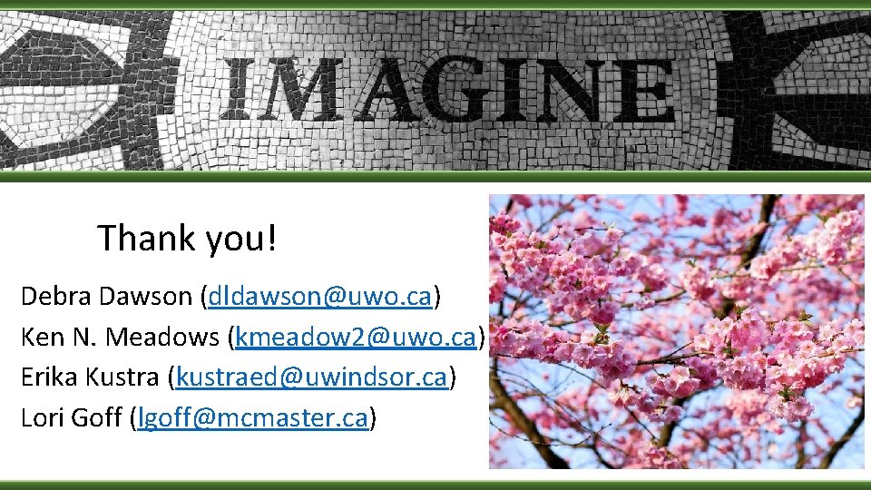 Thank you! Debra Dawson (dldawson@uwo. ca) Ken N. Meadows (kmeadow 2@uwo. ca) Erika Kustra