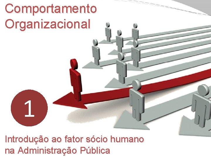 Comportamento Organizacional 1 Introdução ao fator sócio humano na Administração Pública 