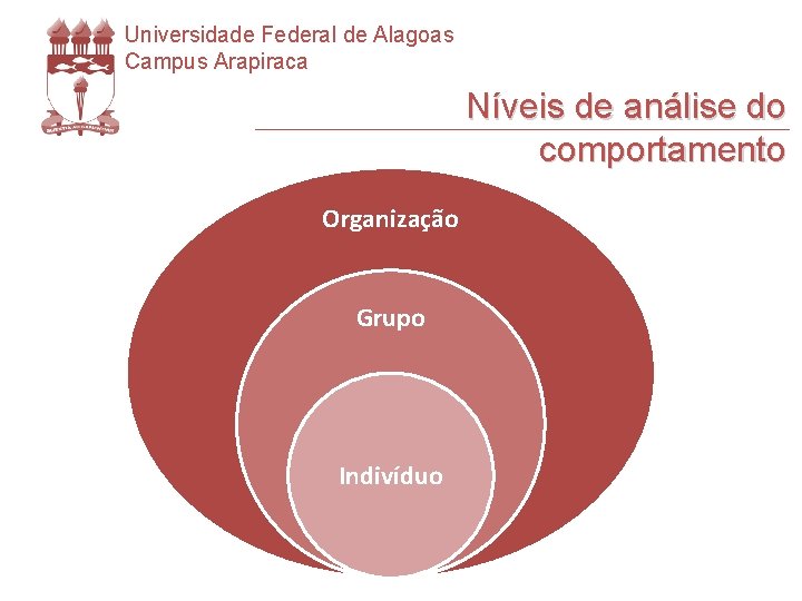 Universidade Federal de Alagoas Campus Arapiraca Níveis de análise do comportamento Organização Grupo Indivíduo