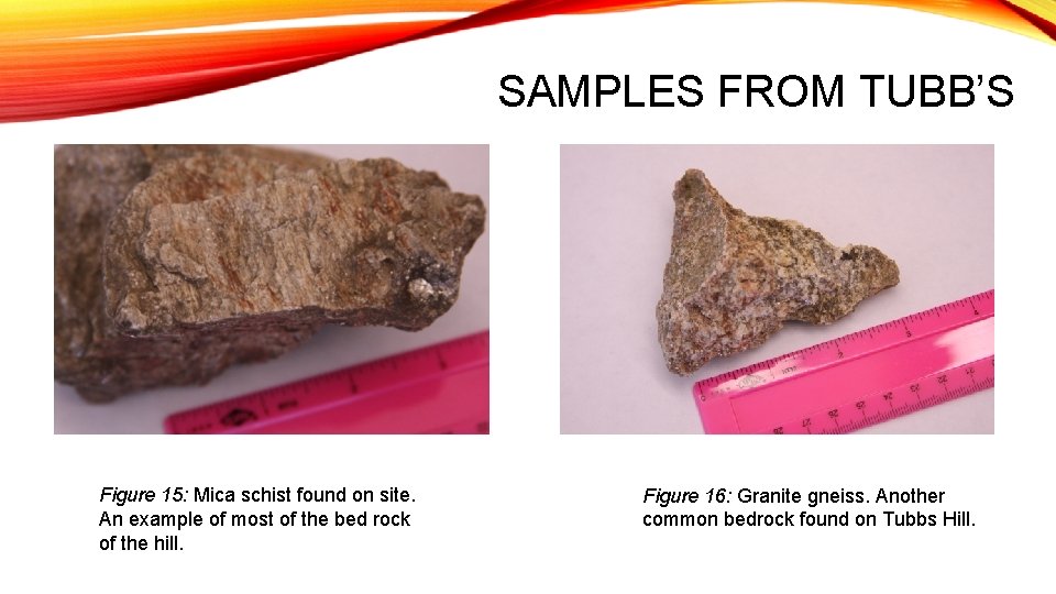 SAMPLES FROM TUBB’S Figure 15: Mica schist found on site. An example of most