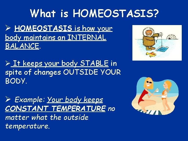 What is HOMEOSTASIS? Ø HOMEOSTASIS is how your body maintains an INTERNAL BALANCE. Ø