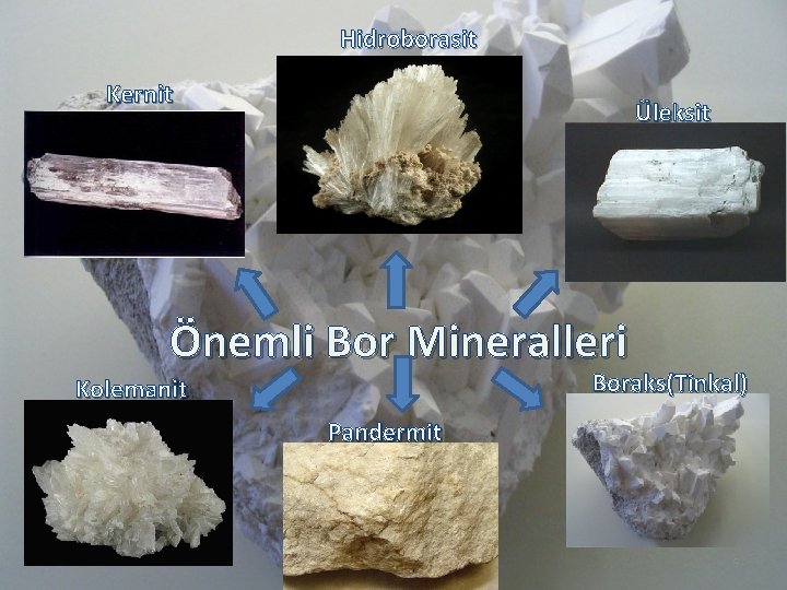 Hidroborasit Kernit Üleksit Önemli Bor Mineralleri Boraks(Tinkal) Kolemanit Pandermit 1 9 