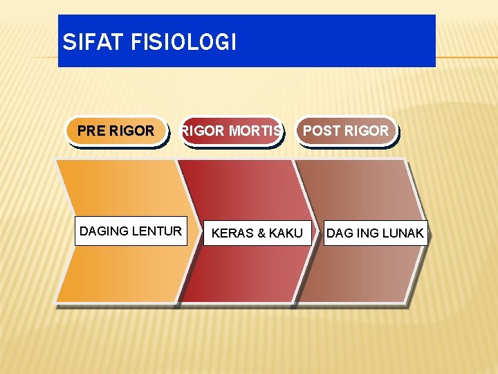 SIFAT FISIOLOGI PRE RIGOR MORTIS DAGING LENTUR KERAS & KAKU POST RIGOR DAG ING