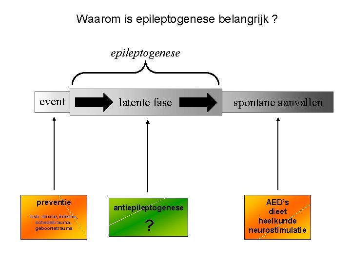 Waarom is epileptogenese belangrijk ? epileptogenese event preventie bvb. stroke, infectie, schedeltrauma, geboortetrauma latente