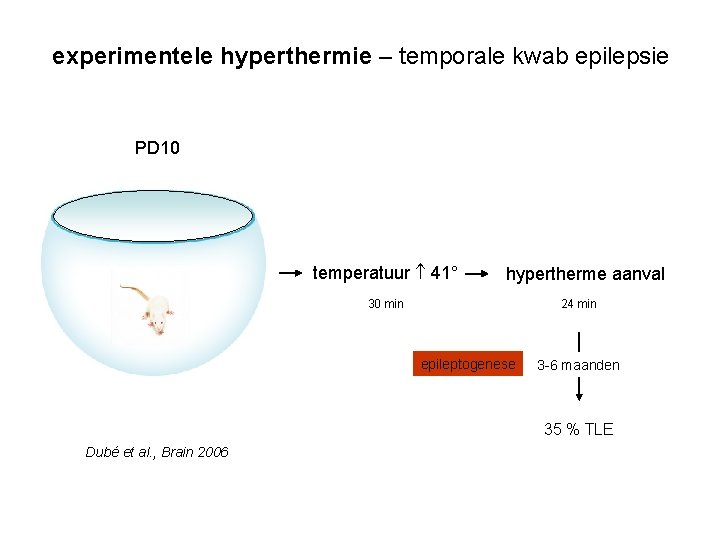 experimentele hyperthermie – temporale kwab epilepsie PD 10 temperatuur 41° hypertherme aanval 30 min