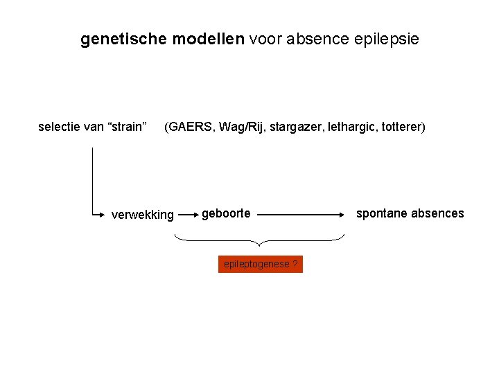 genetische modellen voor absence epilepsie selectie van “strain” (GAERS, Wag/Rij, stargazer, lethargic, totterer) verwekking