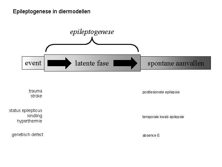 Epileptogenese in diermodellen epileptogenese event trauma stroke status epilepticus kindling hyperthermie genetisch defect latente