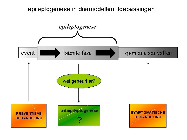 epileptogenese in diermodellen: toepassingen epileptogenese event latente fase spontane aanvallen wat gebeurt er? PREVENTIEVE