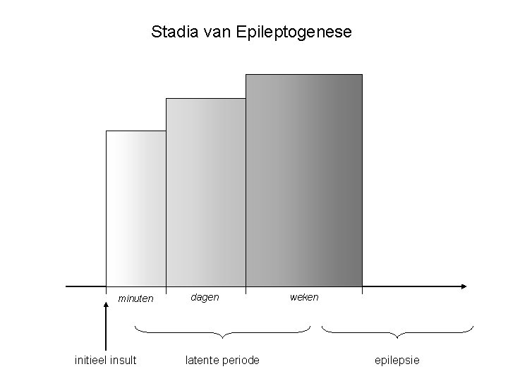 Stadia van Epileptogenese minuten initieel insult dagen latente periode weken epilepsie 