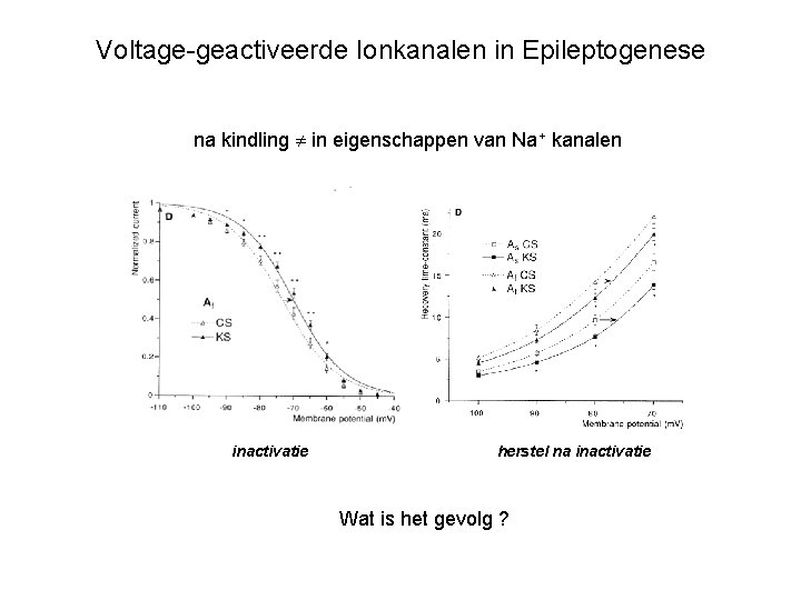 Voltage-geactiveerde Ionkanalen in Epileptogenese na kindling in eigenschappen van Na+ kanalen inactivatie herstel na